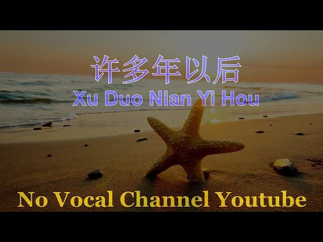 Xu Duo Nian Yi Hou ( 许多年以后 ) Male Karaoke Mandarin - No Vocal class=