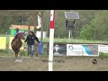 AEGEQ, 2025,Aller retour poneys,ville degelis