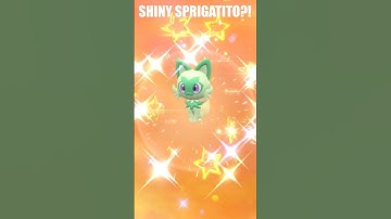 Hatching a SHINY MASUDA METHOD SPRIGATITO! #pokemon #shinypokemon #shorts