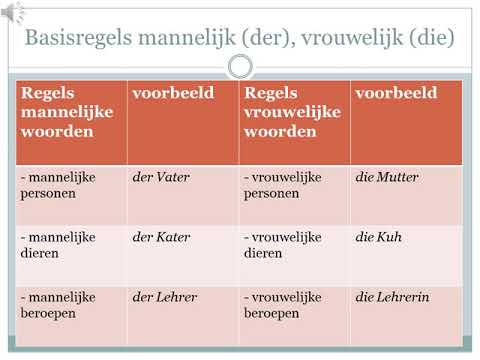 Hoe bepaal je het geslacht, is het die, der of das? (Duits)