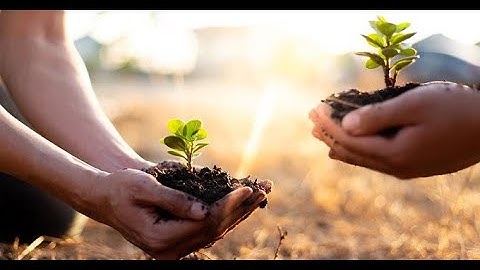 What is Sustainable ESG Investing? | Grow Your Money & Make an Impact 🌱