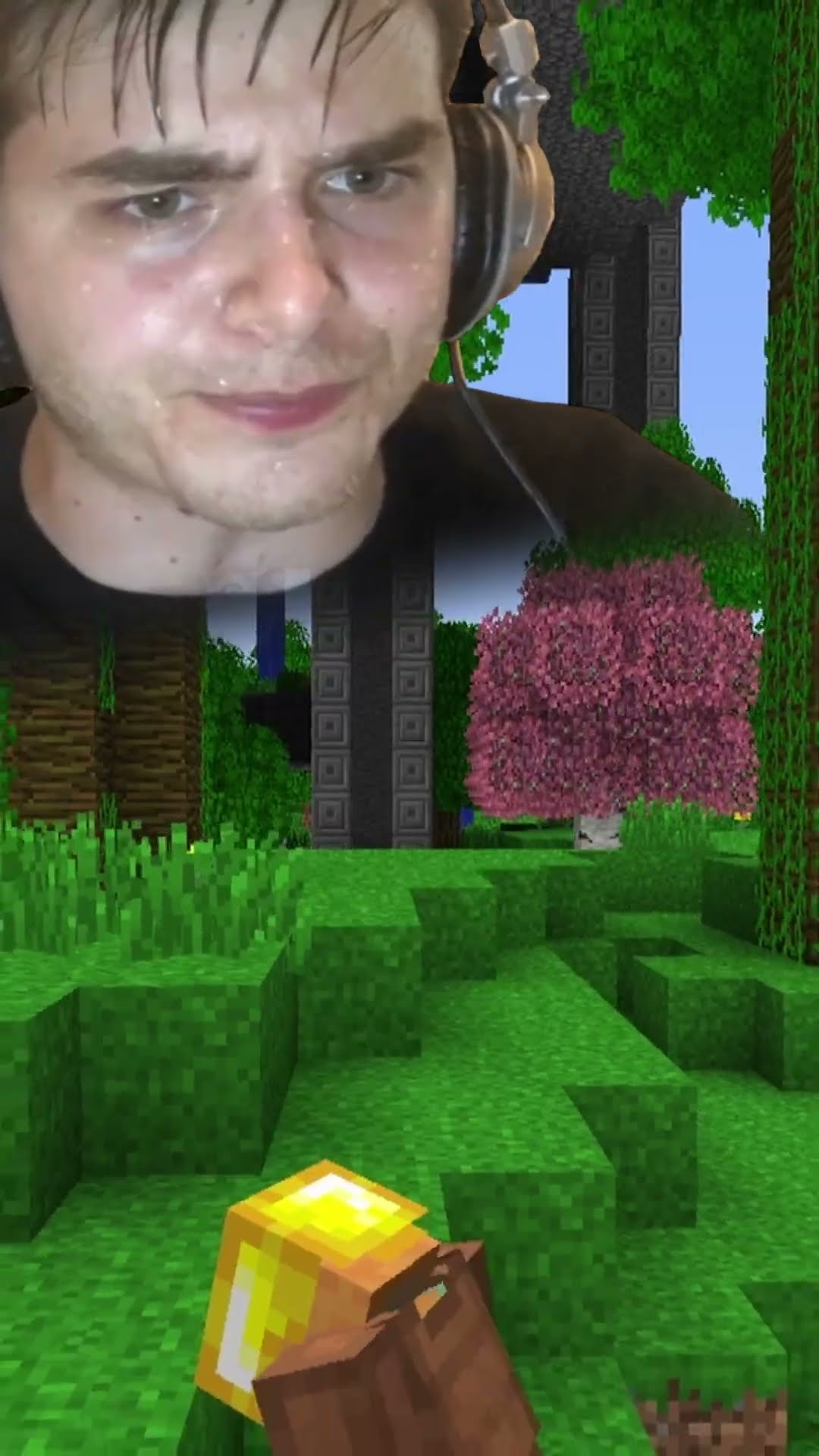 Wie viele Tage kann ich in einer Minecraft STEINZEIT überleben?