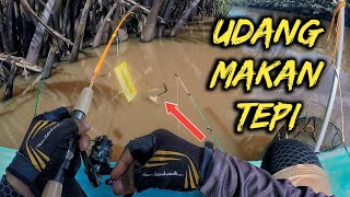 ‼UDANG MAKAN TEPI‼ Memancing Udang Galah Di Sungai SUAI