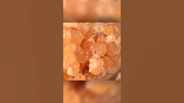 Каково быть мамой в мире пауков