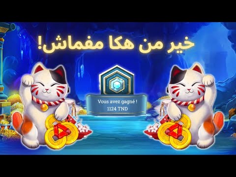 تعرف على كازينيا: المكان الأفضل للعب في كازينو على الإنترنت