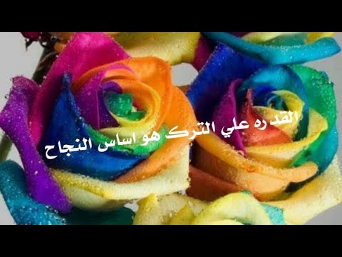 القدره علي الترك هو أساس النجاح