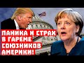 Трамп будет делать "бо-бо"! Паника и страх в гареме союзников Америки!