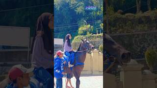 Tes ride kuda renggong Laksana Mantri #kudarenggong #NRH