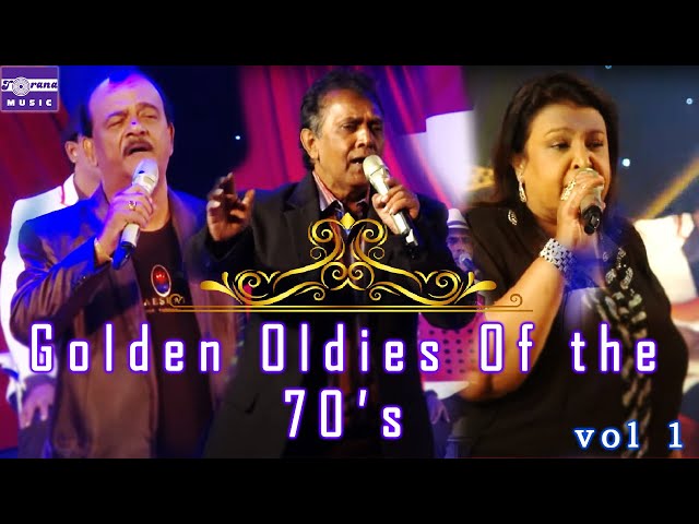 Golden Oldies Of The 70'S Live in Concert || Vol 1 class=