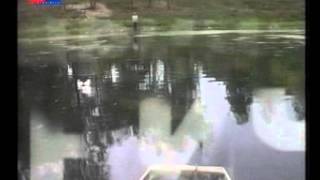 Zivodar Zica Markovic - Price Zavicajne.wmv