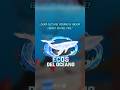 👉 “Ecos del Océano 🌊 está ROMPIENDO Free Fire 😱 CAMBIÓ TODO… ¿Es el MEJOR evento?”