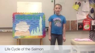 Freshwater fish & Shellfish