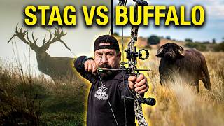 Red Stag Hunting Argentina & New Zealand — Bow Hunting the Roar | Live the Wildlife