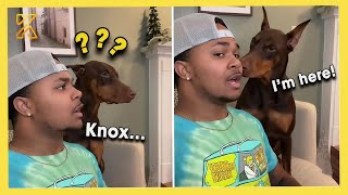 Call Your Dog's Name When They're Right Next To You 🐶 | Funny Dogs Reactions 2025