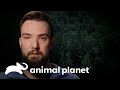 Un lobo le despedazó la cabeza de una mordida mientras dormía | Solo y en peligro | Animal Planet