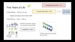 Brain Facts Chapter 7: Early Life