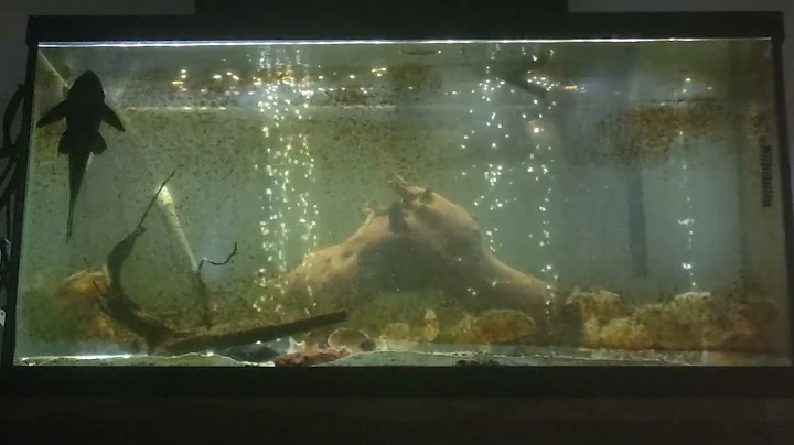 Feeding time 10 months later