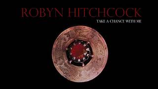 Robyn Hitchcock "Take a Chance with Me" (Roxy Music Song)