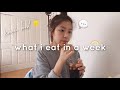 *realistic & korean* WHAT I EAT IN A WEEK on a daily basis