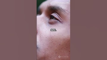 Visualize Your Success: The Secret to Manifesting Your Dreams