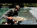HUGE BROWN TROUT and Velvet STAGS New Zealand South Island - Nov 2019 - Josh James and Sam Harrison