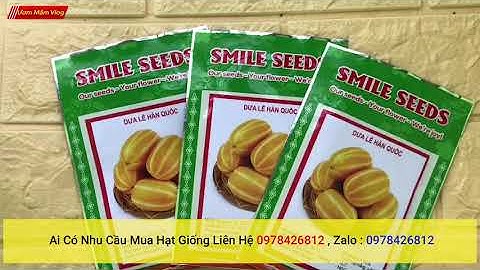 Hạt giống dưa lê Hàn Quốc F1 siêu ngọt , siêu quả - Nảy Mầm Cực Đỉnh!