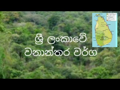 Forest types in sri lanka- ශ්‍රී ලංකාවේ වනාන්තර වර්ග