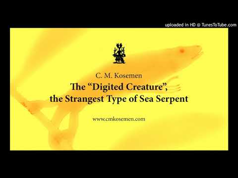 Video: Sea Serpent And Cryptozoology - Alternative View