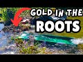 I found hidden roots full of gold