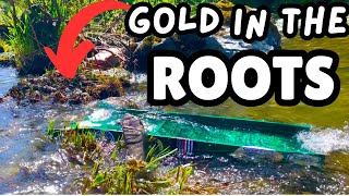 I Found HIDDEN Roots FULL of GOLD!!!