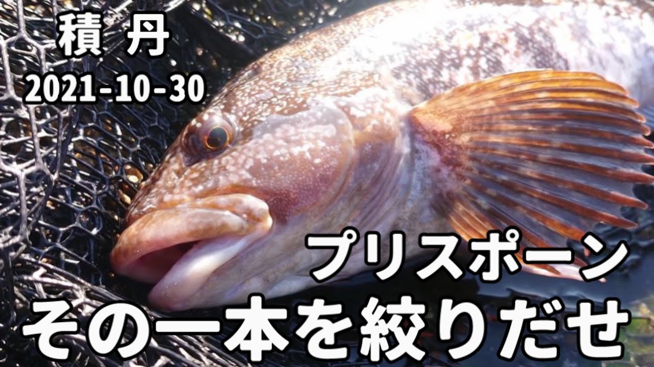 大型アイナメ炸裂】磯ロックフィッシュ初心者も必見！初見の釣り場で