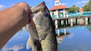 catfish catch and cook gone wrong#fishing #bassfishing #catfishing #outdoors 
