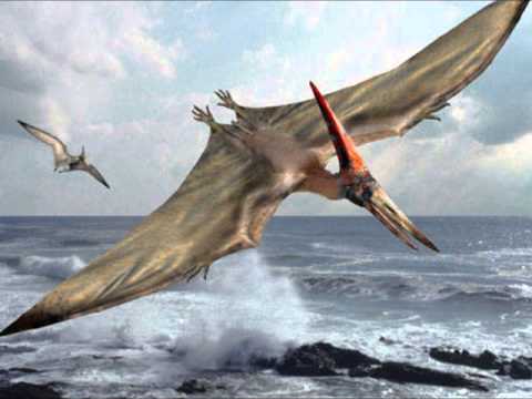 Download Pterodactyl Sound