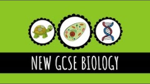 Tissues, Organs and Organ Systems - 9-1 GCSE Biology