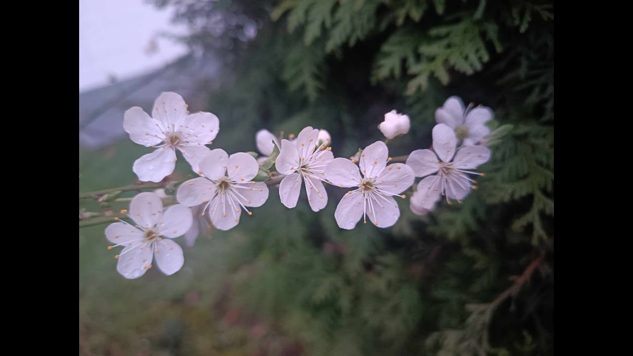 Didacta 2024 сониноос