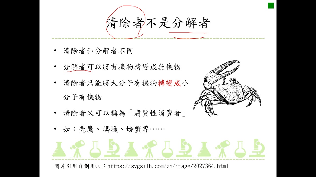 Bd Iv 3 3分解者可將生物體的遺骸分解 將有機物質變為無機物質回歸大自然 Youtube