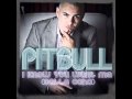 Pitbull  i know you want memassivedrum  dj fernando remix