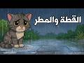 درس القطة والمطر للصف الثاني الابتدائي عربي الترم الثاني حل التدريبات درس القطة والمطر لغه عربيه