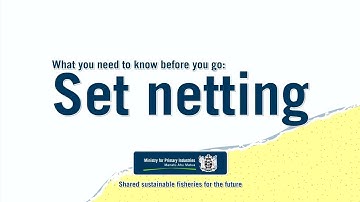 Set netting – what you need to know before you go