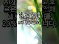 몸속 식물칩이 노화를 70% 늦춘다는 충격적 연구결과