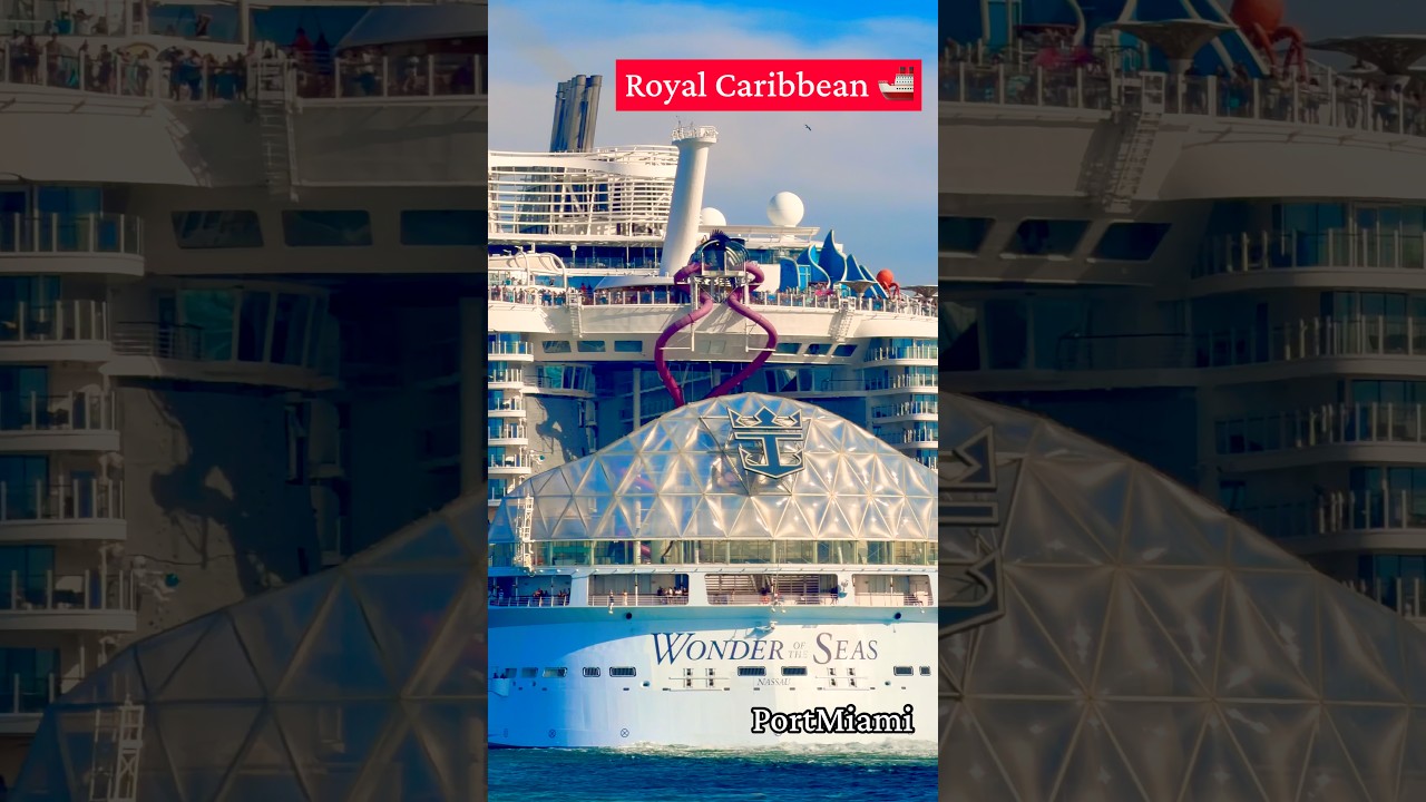 Wonder of the Seas 🚢 #royalcaribbean #cruise #travel #vacation #cruiseship #ship #portmiami
