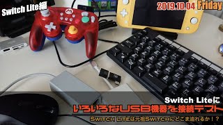 【Switch】Switch LiteでUSB接続は、どこまで可能？