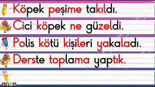 1.Sınıf P Sesi Cümle Okuma Çalışması / P Sesi Okuma Videosu / #zçgşcp Resimi