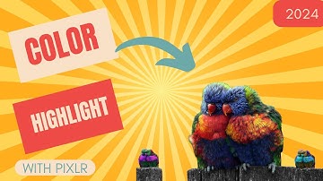 Pixlr Color edit 2024