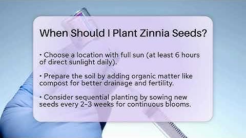 When Should I Plant Zinnia Seeds? - LearnToDIY360.com