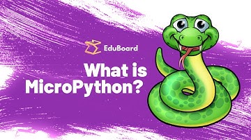 What is MicroPython? | Introduction to MicroPython | STEM Education for kids