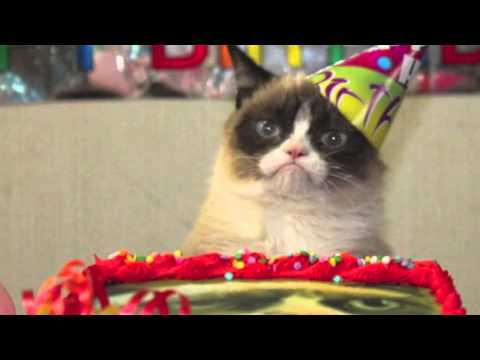 Bonne Fete Vincent Youtube Bonne Fete Vincent Youtube
