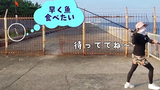 日の出を見ながら釣りデート 釣り場で可愛い友達ができました　361話