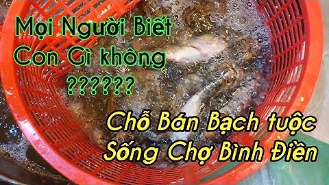 tập 101 | Chợ Bình Điền | Đi mua bạch tuộc sống, cá bớp, cá mao ếch, mực nang, cá nàng 2.