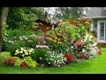 Proceso de Siembra de Plantas Ornamentales - TvAgro por Juan Gonzalo Angel